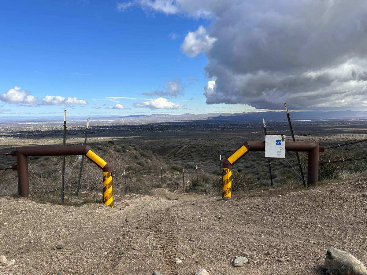 P-Town Loop Out photo 6