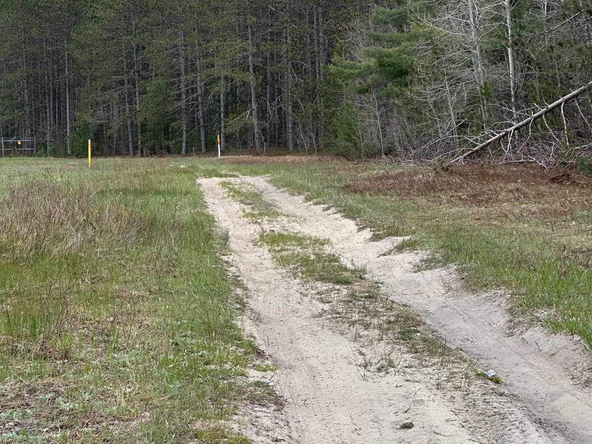 Pipeline Track photo 6