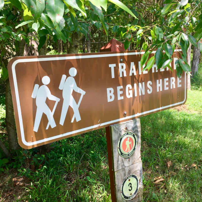 Near Shoreline + High Ridge Trail Loop