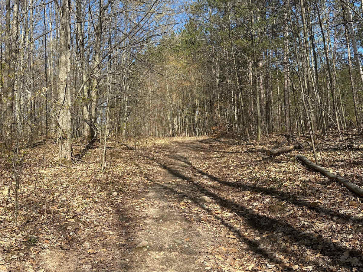 Blue Bear Trail photo 3