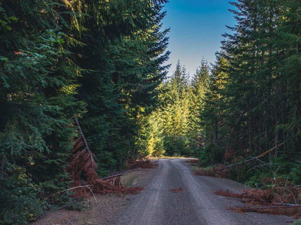 Eastside trail photo