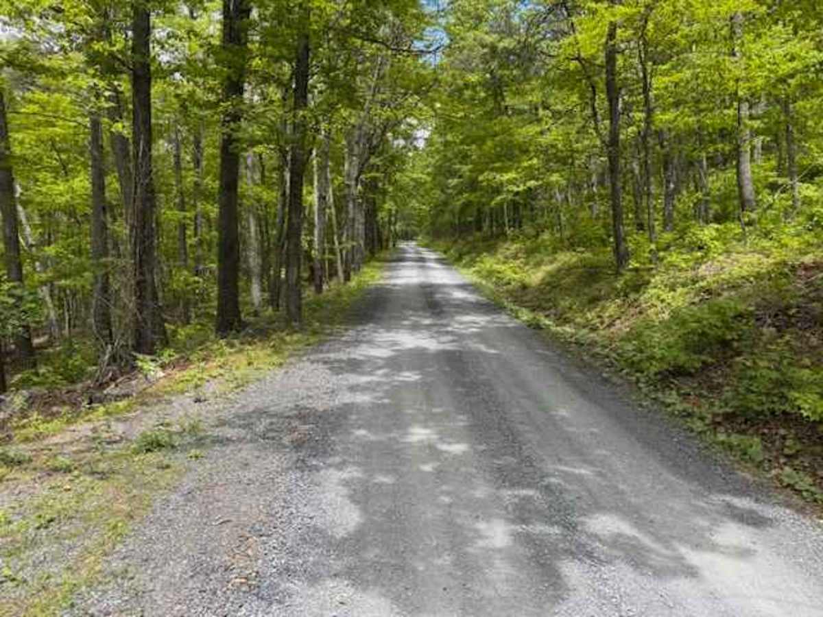 Devils Hole Road trail photo