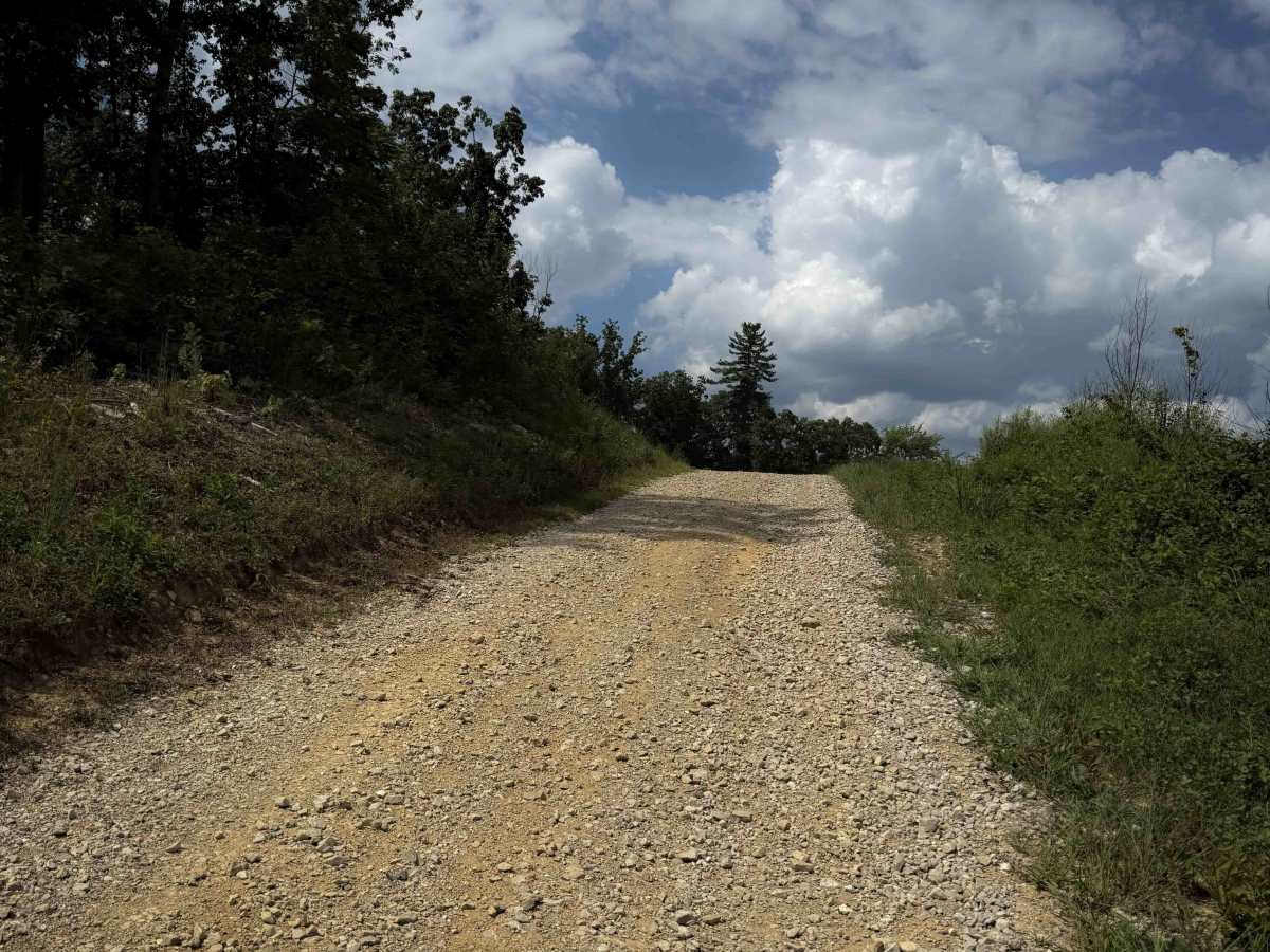 Meadow Ridge Road 5  photo 5