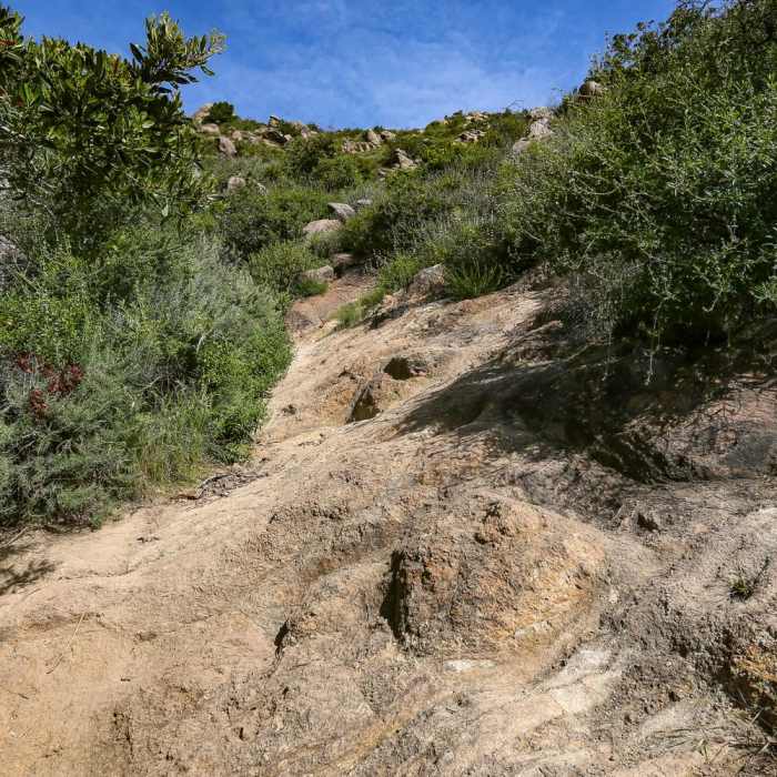 Near Bishop Peak via Foothill Boulevard