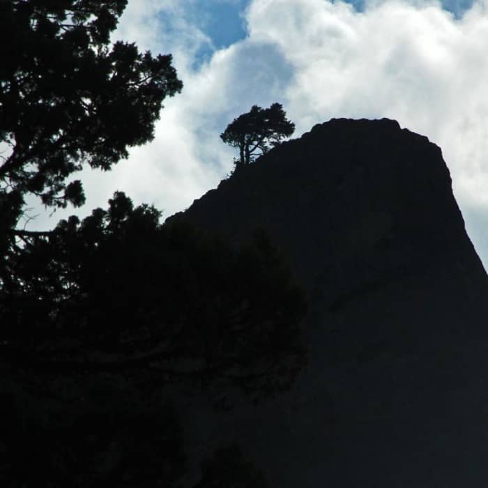 Near Pilot Rock Trail