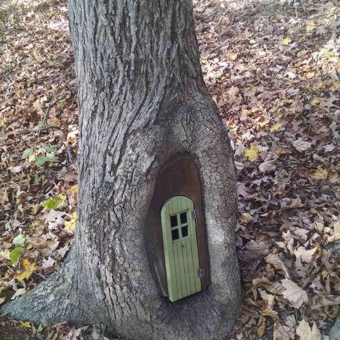 Just a little treehouse! Near Pate Hollow Trail - East