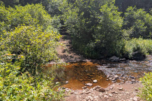 Grass River Trail