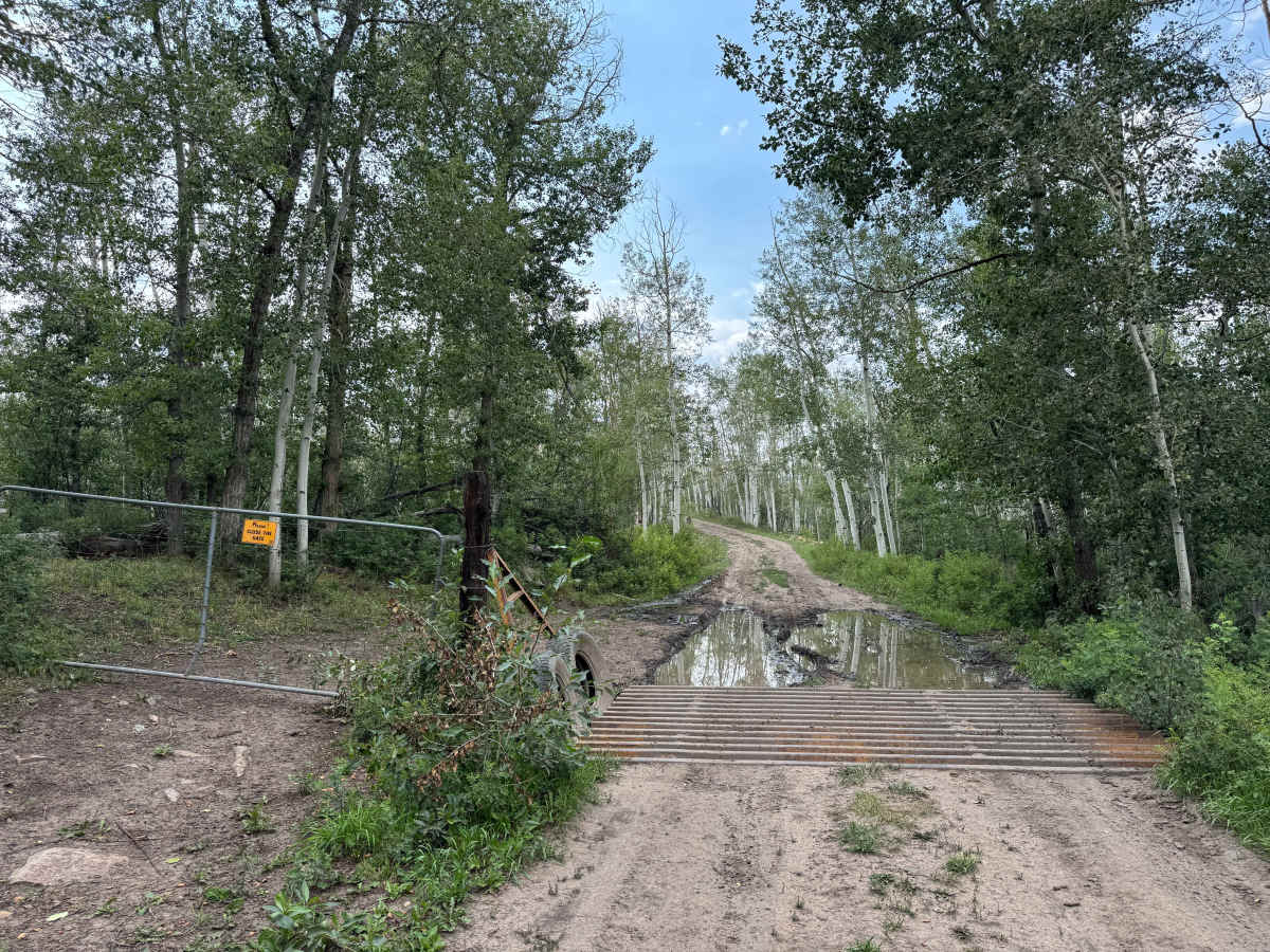 FS 609 trail photo