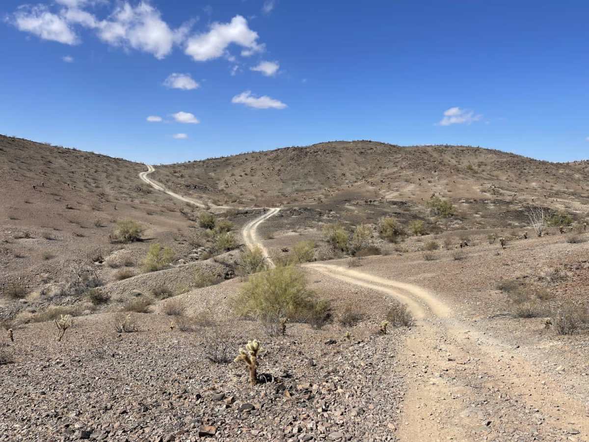 Plomosa Backside trail photo