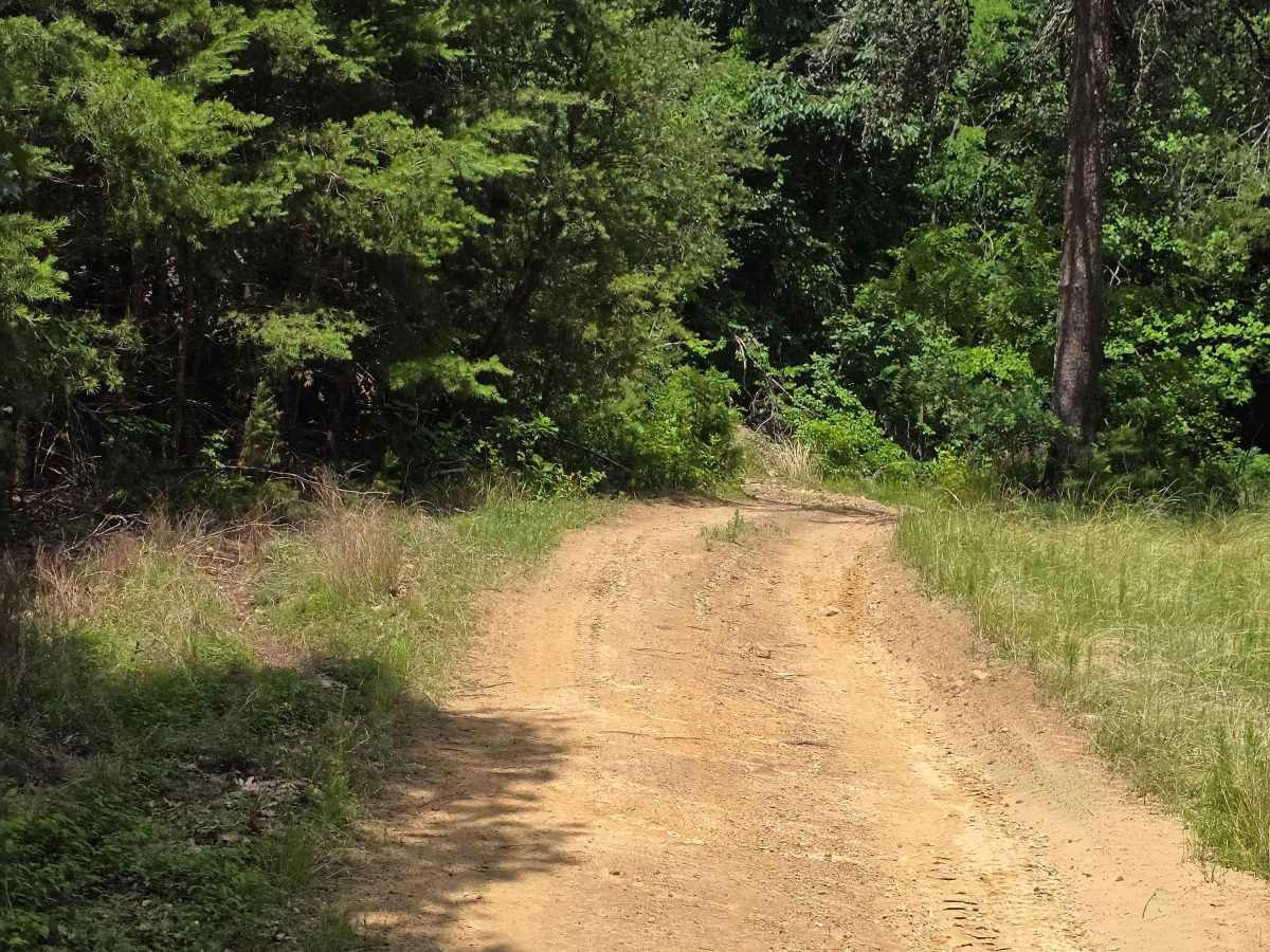 Brocato's Ridge photo 6
