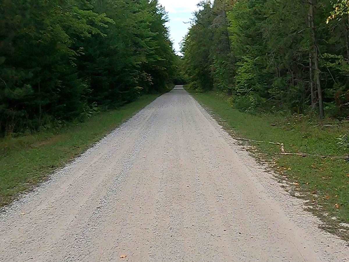 Boreland Road - FS 3124  photo 6