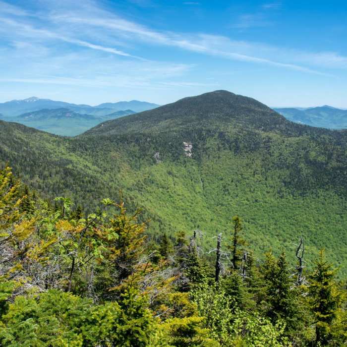 Near Mount Whiteface via Blueberry Ledge Trail Near Mount Whiteface via Blueberry Ledge Trail