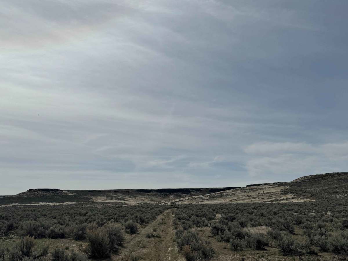 Desert Ranch and Reservoir photo 3