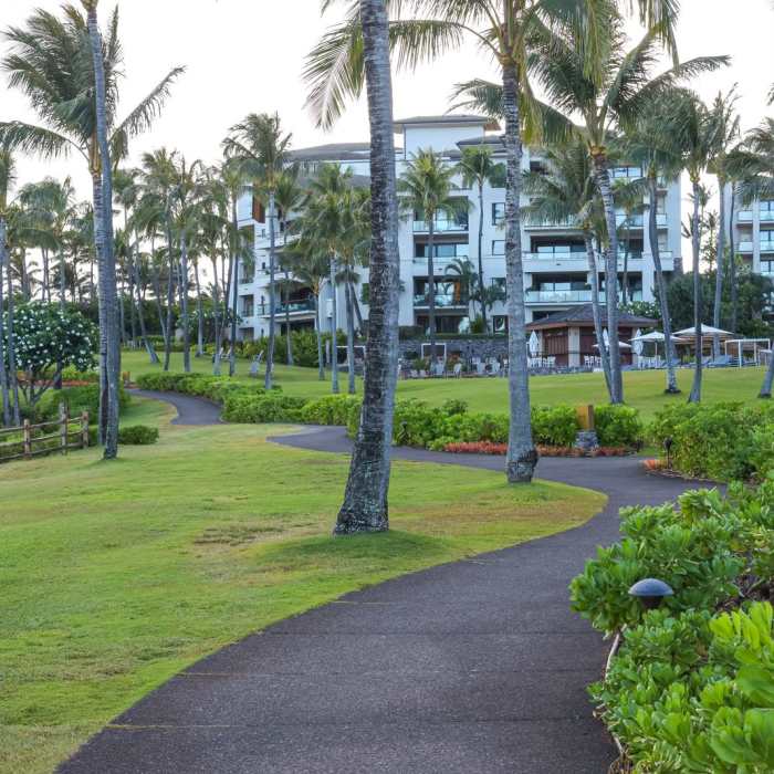 Near Kapalua Coastal Trail Near Kapalua Coastal Trail