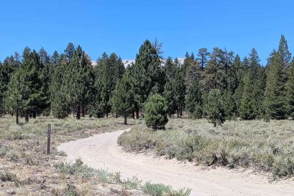 Forest Service Road 2S2111