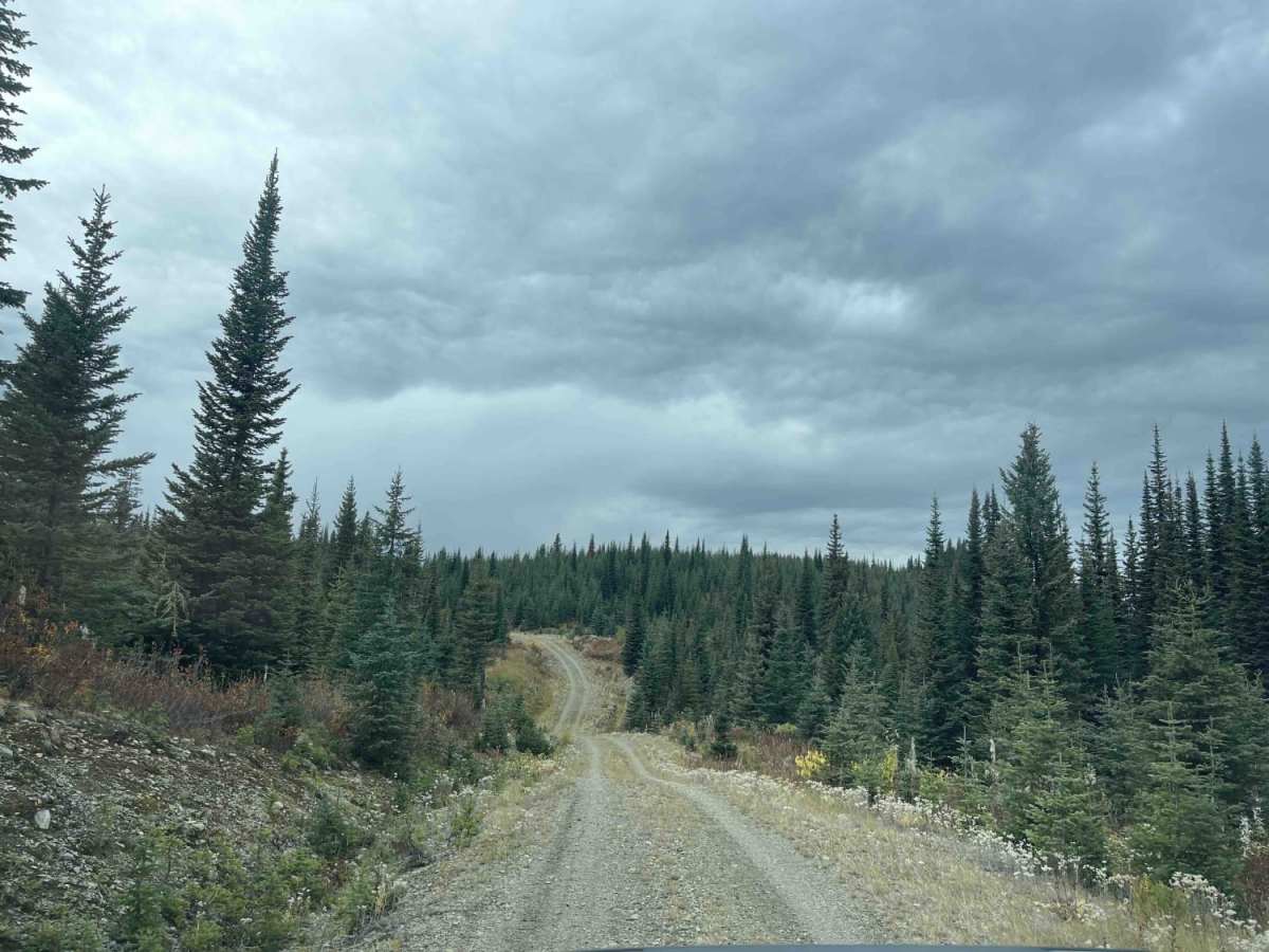 Raydar Rd photo 5
