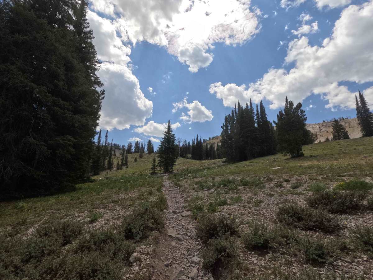Paradise Creek - FS 7070 photo 3