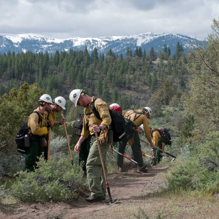 Near Beaver Trail--a nice, narrow connector from Canyon Trail to Hot Shot or vice versa.