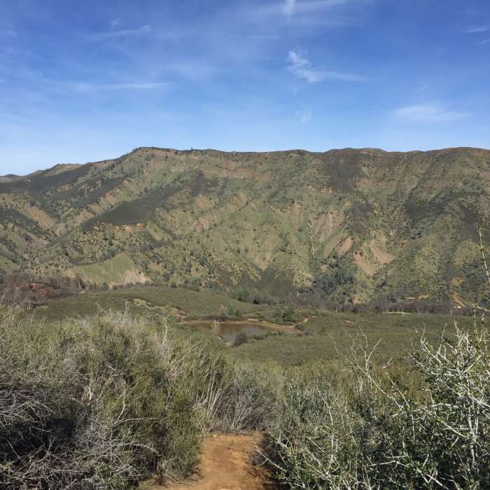 Near Frog Pond Trail
