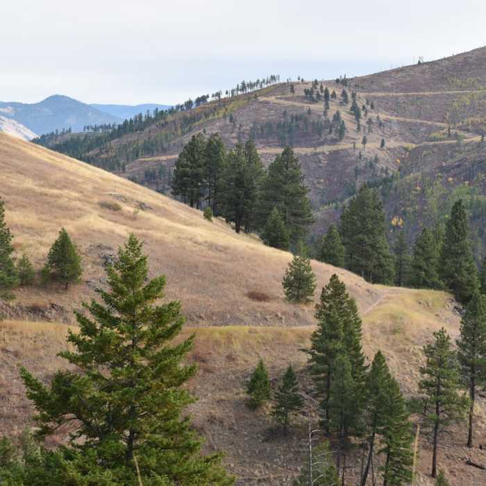 Near North O'Brien Creek Loop