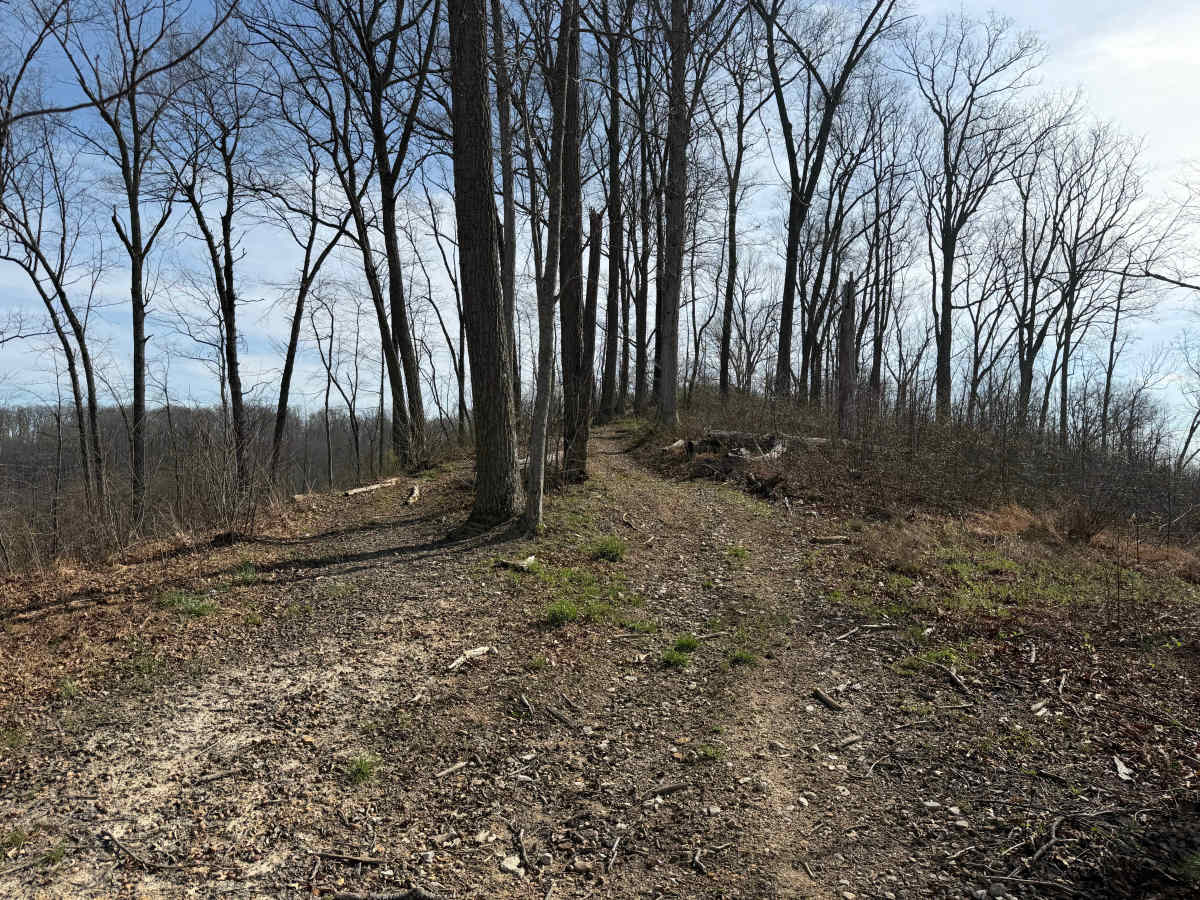 Telegraph Trail photo 5
