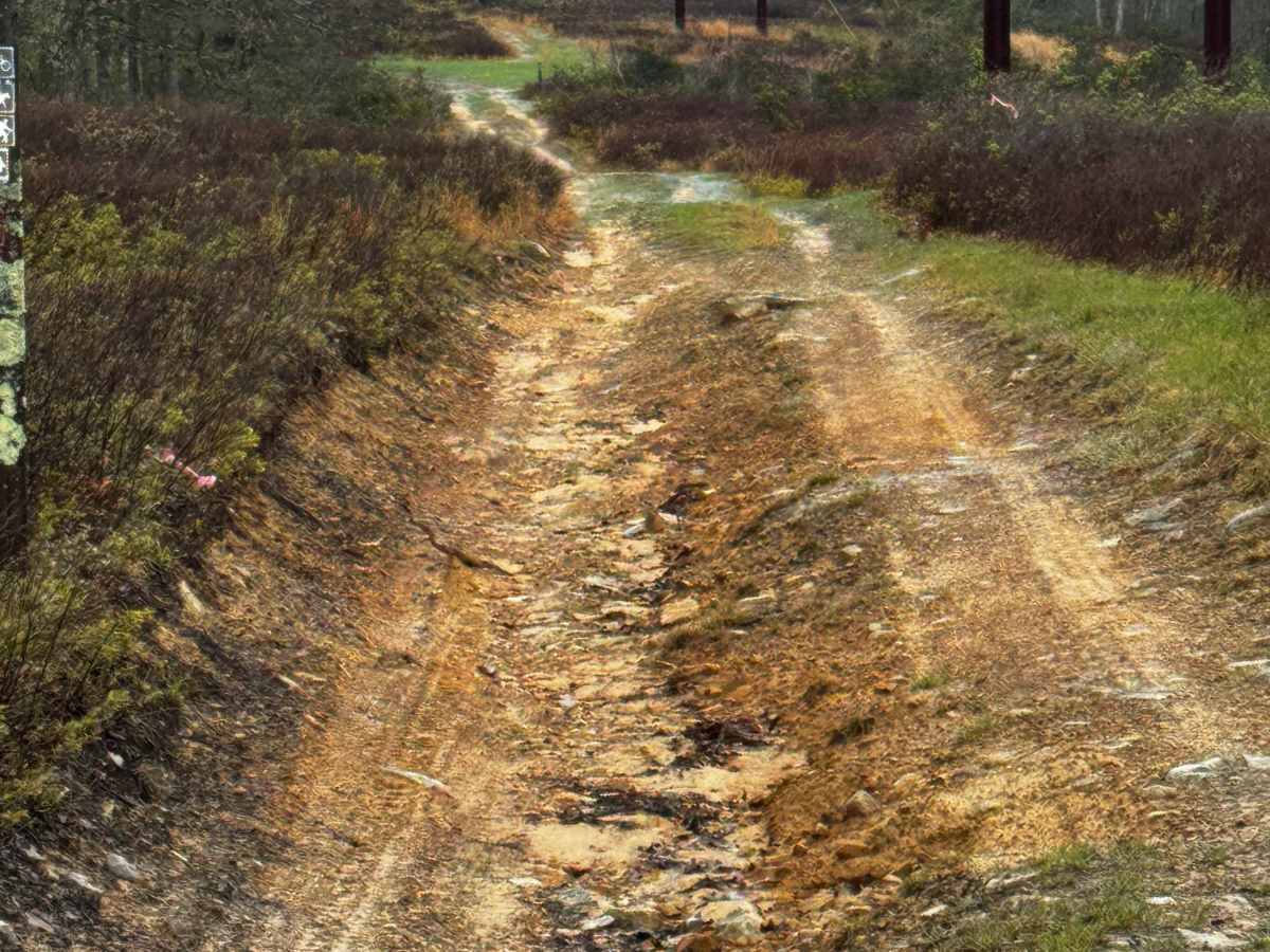 Eagleton Powerline Trail photo 5
