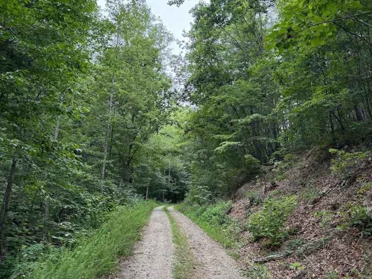 Cedar Bridge Hollow photo 6
