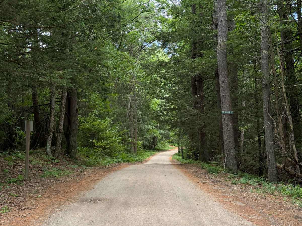 Coldbrook Road trail photo