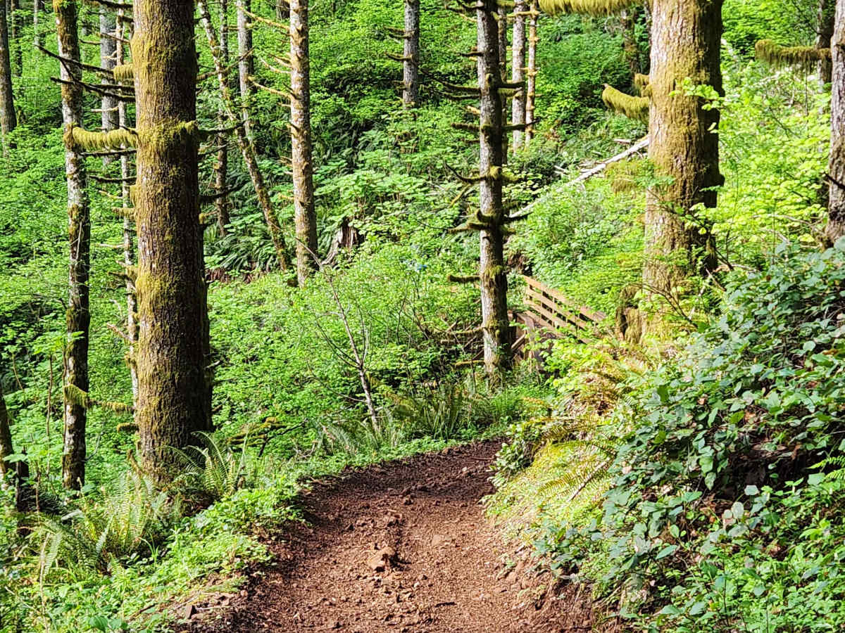Divide Trail South photo 2