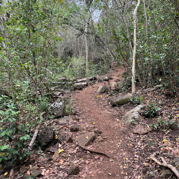 Near Nounou Trail East