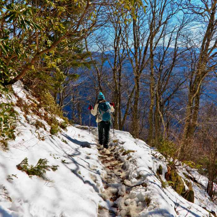 Near Bull Head Trail