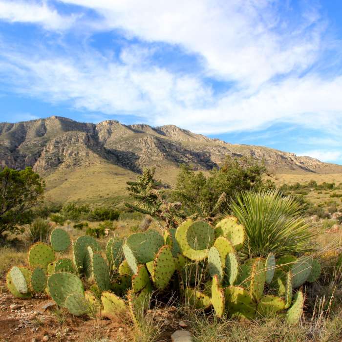 Near Manzanita - Smith Spring Loop
