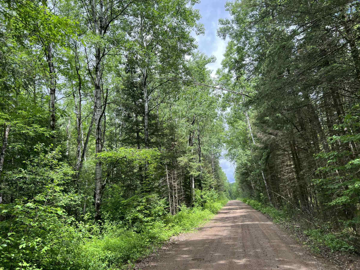 FS 2378 trail photo