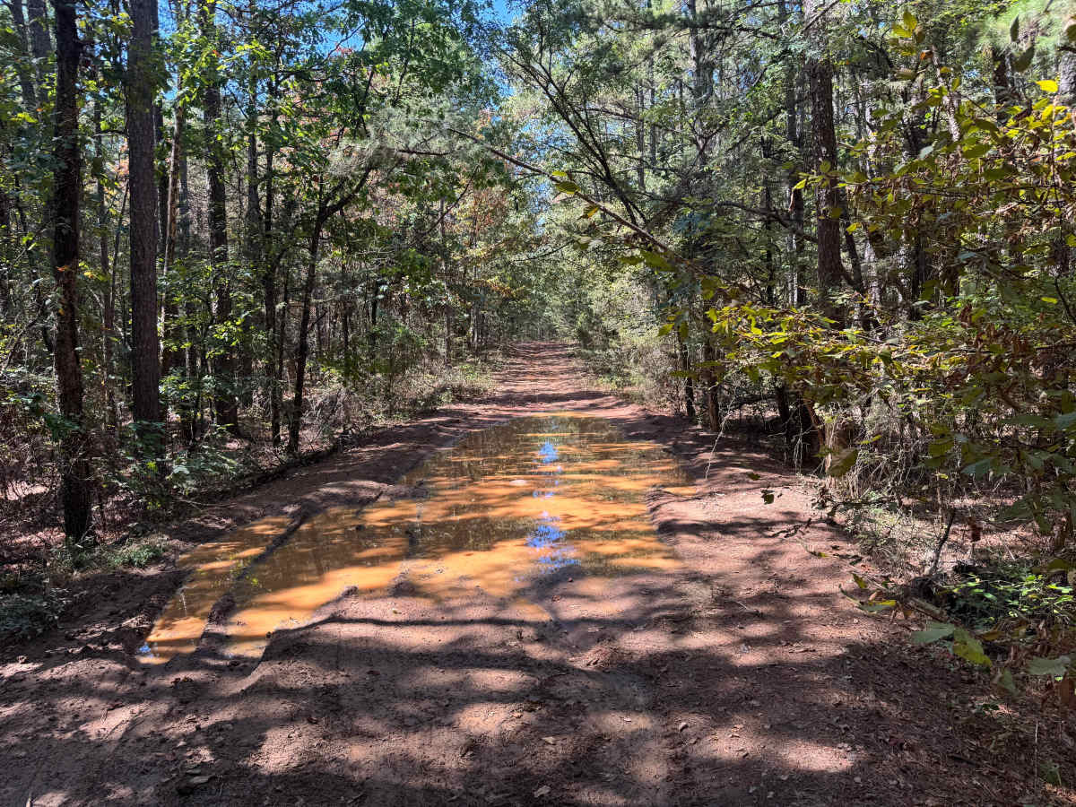McReynolds Cemetery Road photo 3