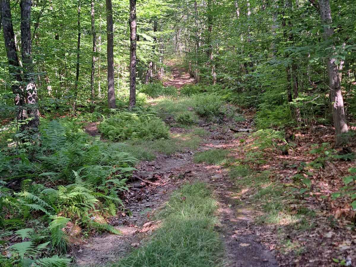 Upper Turnpike Road photo 3