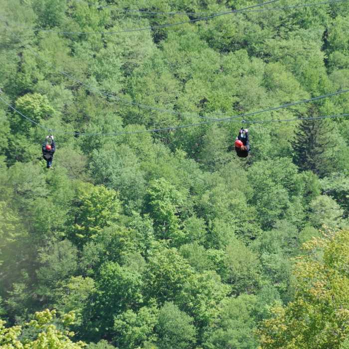 Near Colonel's Chair Trail
