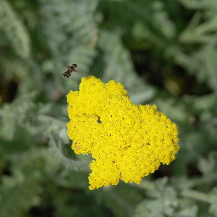 Everything is ALIVE on this awesome route. Near Spring Creek Trail