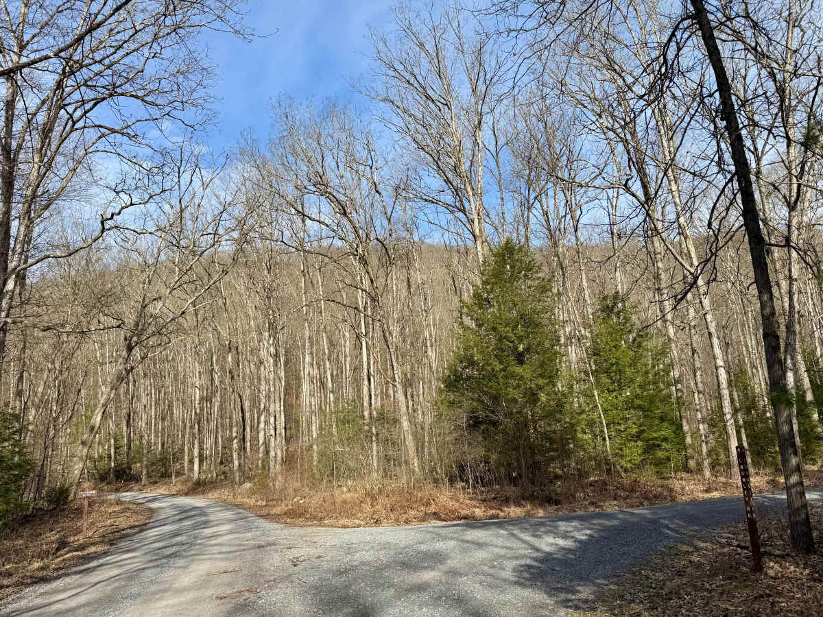Cooks Run Road photo 2
