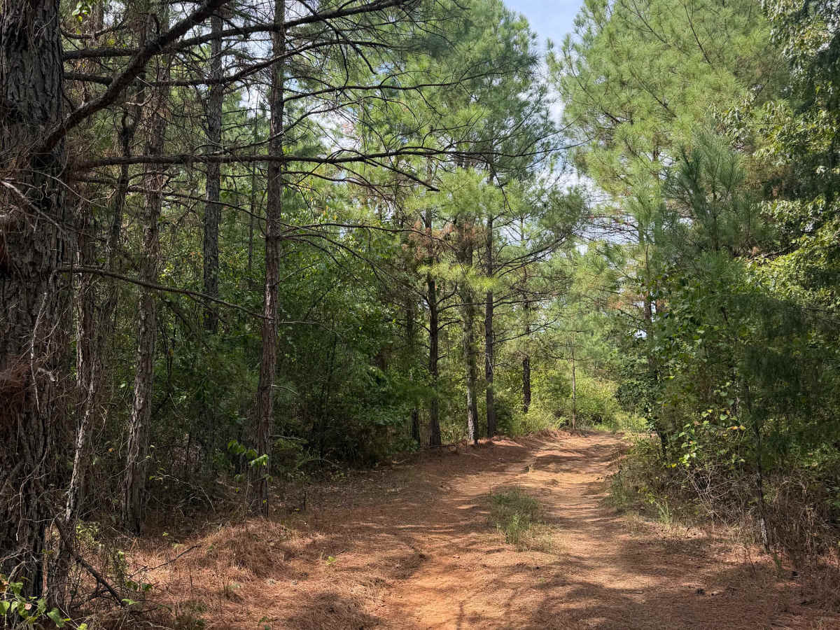 Oak Mountain Road trail photo