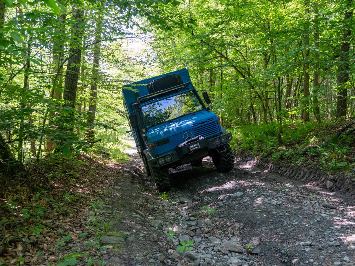 Collins Rd trail photo