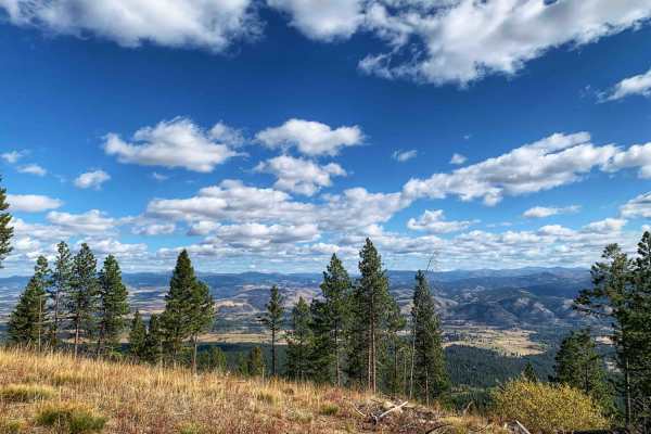 Lost Horse Observation Point