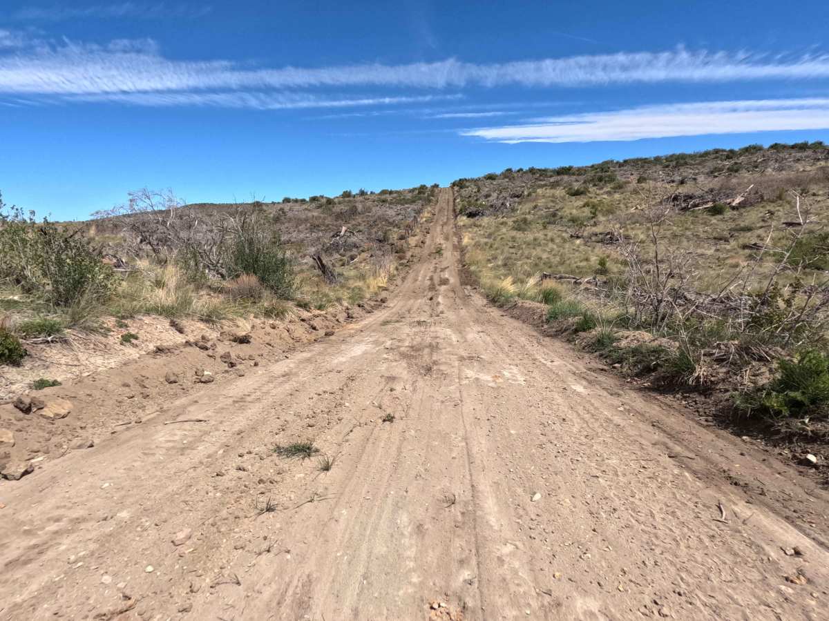 BLM 115 photo 6