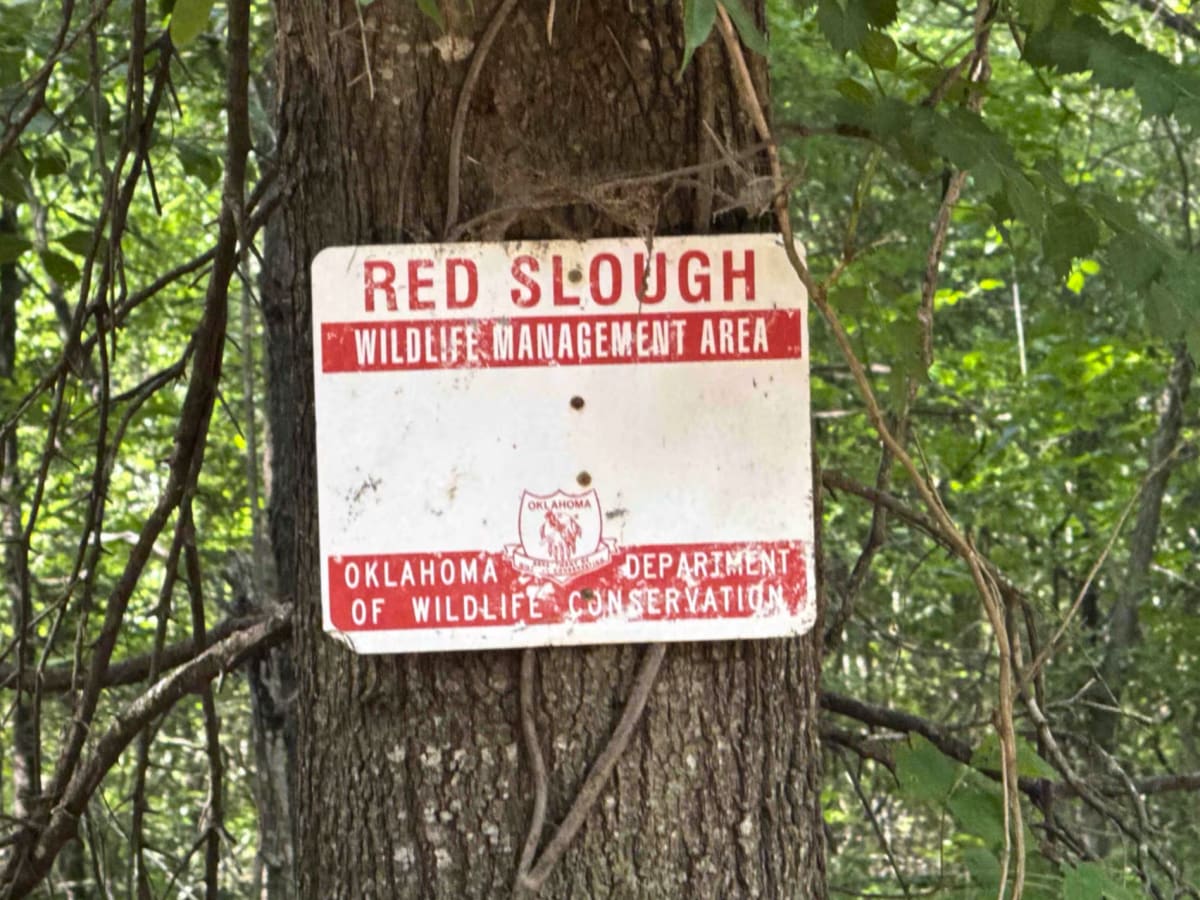 Red Slough trail photo