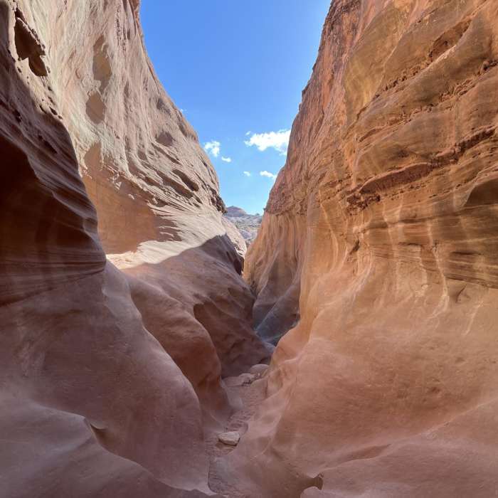 Near Upper Dry Fork Loop