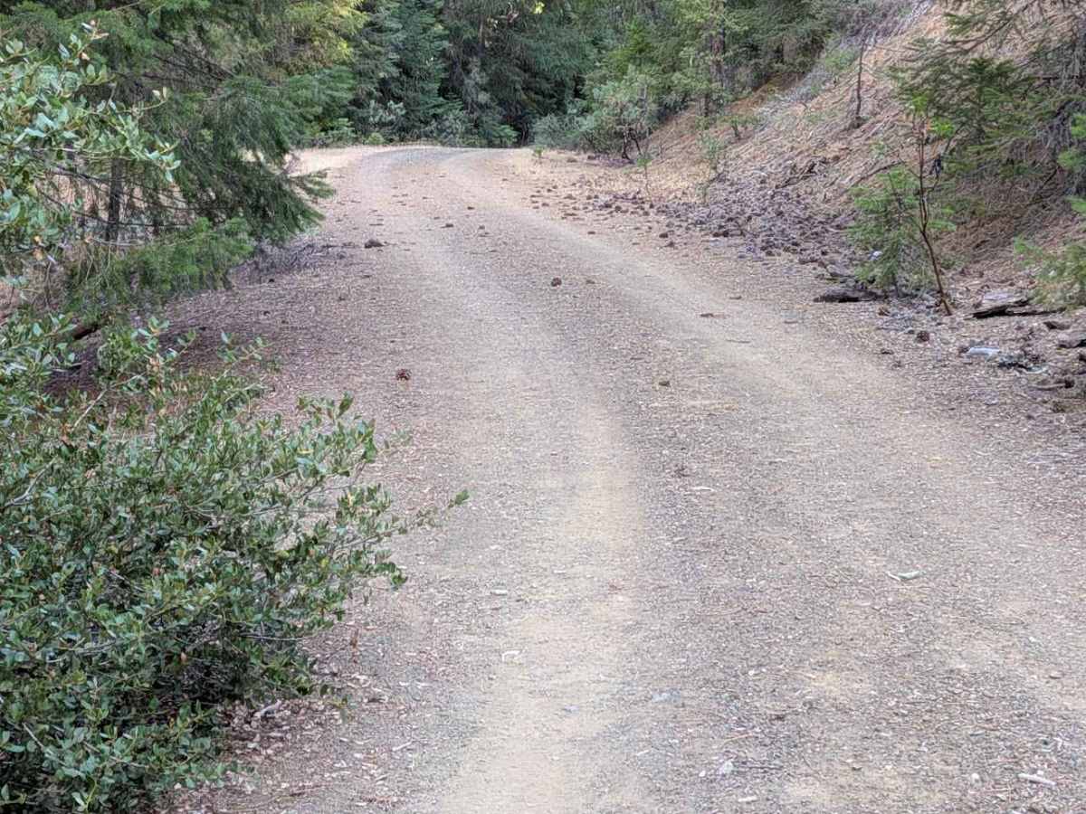 Rail Gulch Road - FS 2N11 photo 3