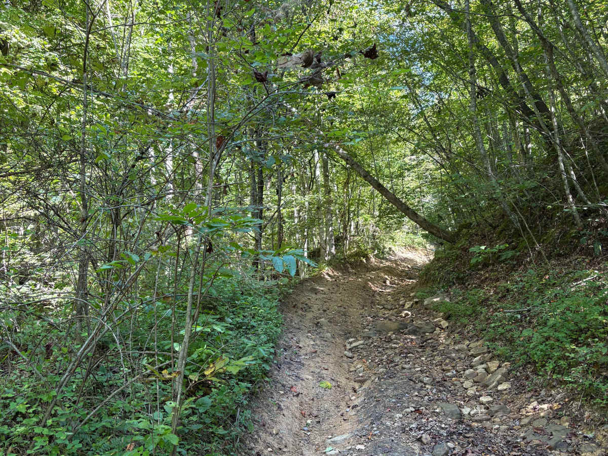 Trail 6 FFAT Boneyard photo 3