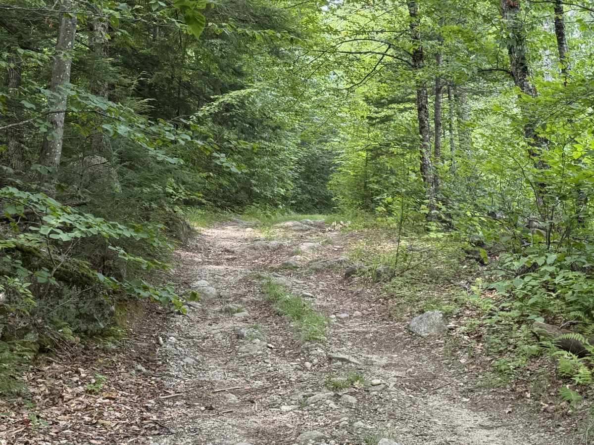 Page Trace Road trail photo