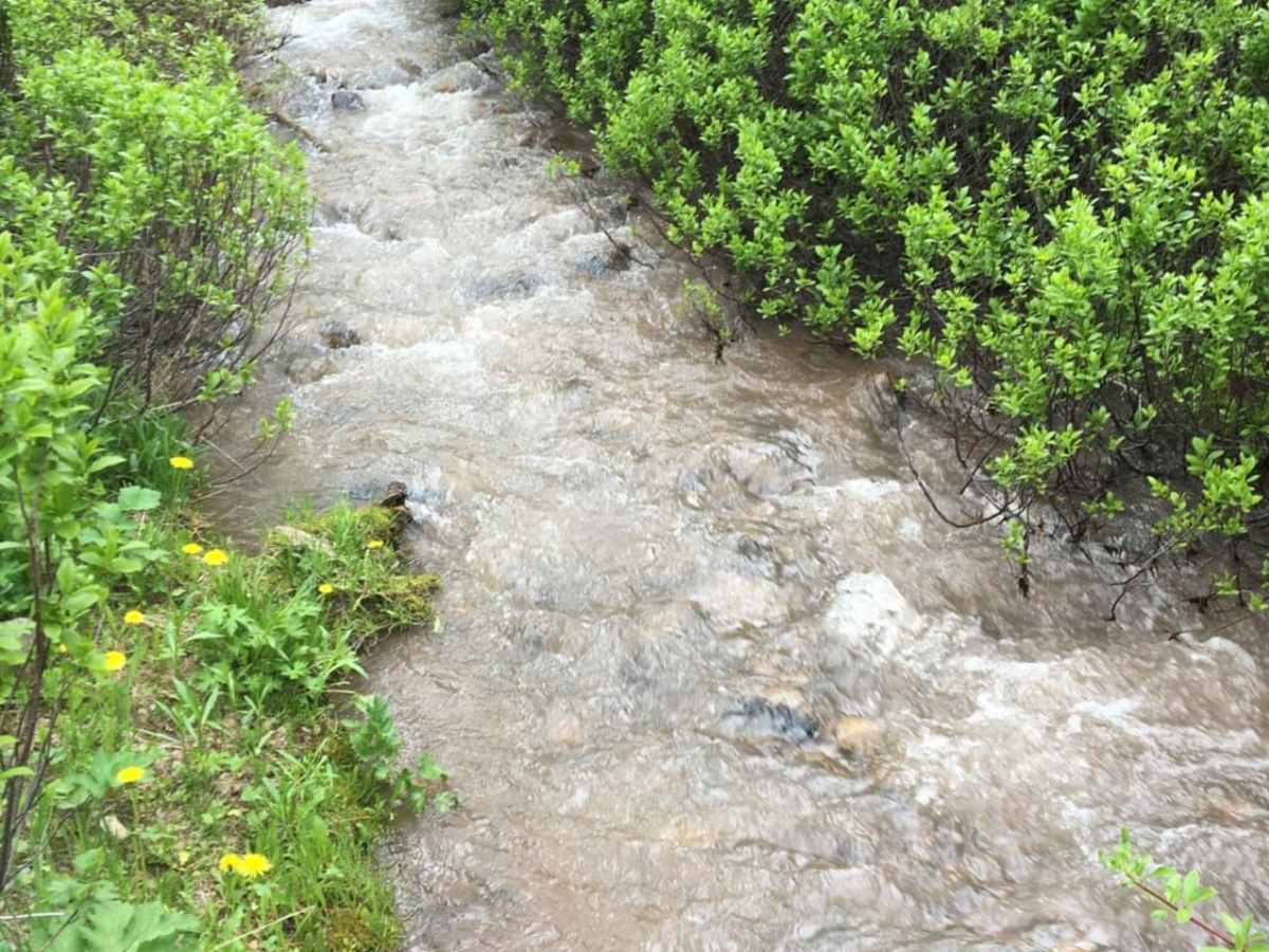 Muddy Creek to Where Stuff Gets Real photo 2
