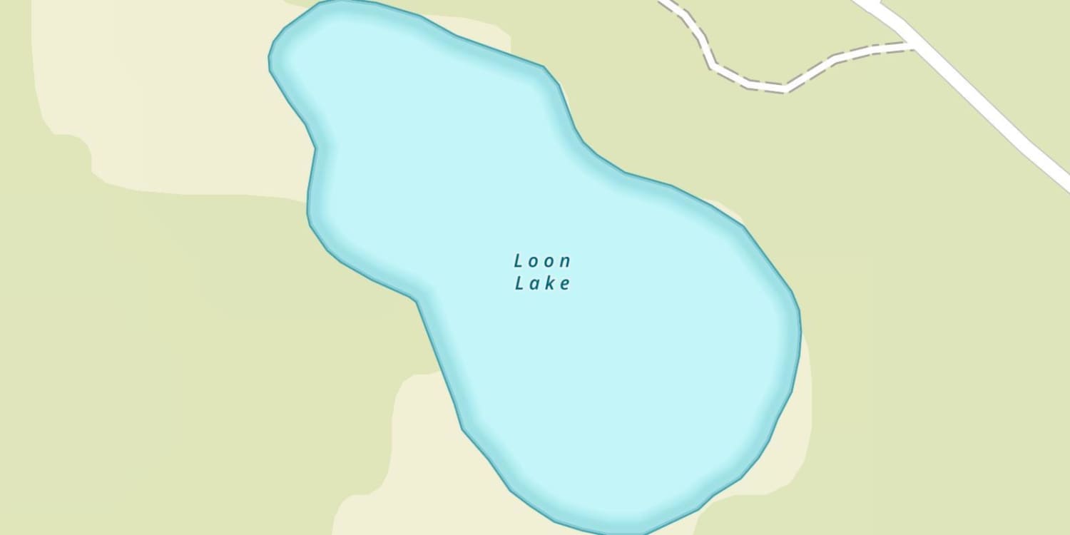 Loon Lake