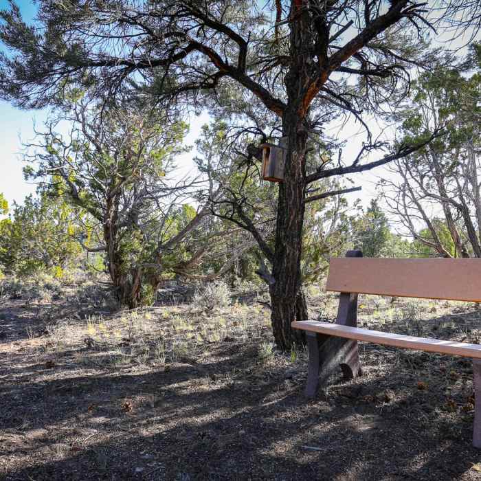 Near Interpretive Loop via Willow Creek